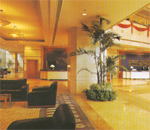 Hotel Zhongyou International Shanghai-Shanghai Accommodation