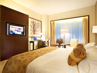 Celebrity International Grand Hotel-Beijing Accomodation,11261_7.jpg